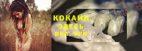 соль курить ск Алексеевка