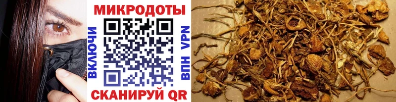 Галлюциногенные грибы Psilocybe  Кировград 